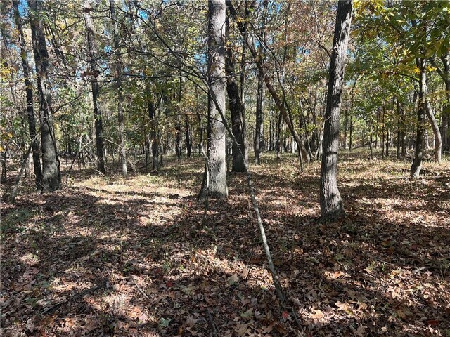 S 690th Rd, Colcord, OK 74338 - photo 30