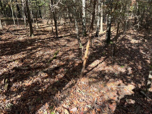 S 690th Rd, Colcord, OK 74338 - photo 24