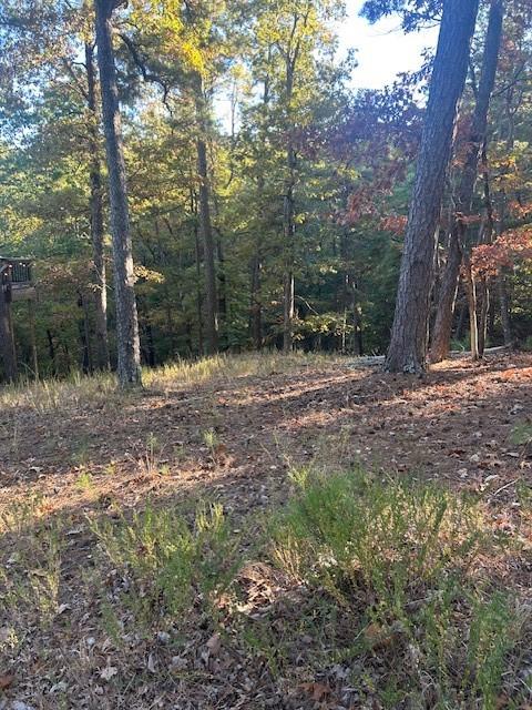 10 Angus St, Eureka Springs, AR 72632 - photo 3