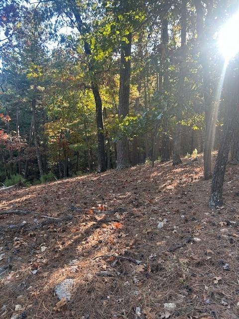 10 Angus St, Eureka Springs, AR 72632 - photo 4