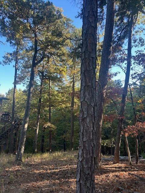 10 Angus St, Eureka Springs, AR 72632 - photo 6