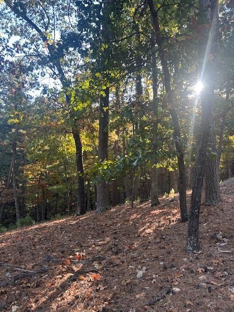 10 Angus St, Eureka Springs, AR 72632 - photo 7