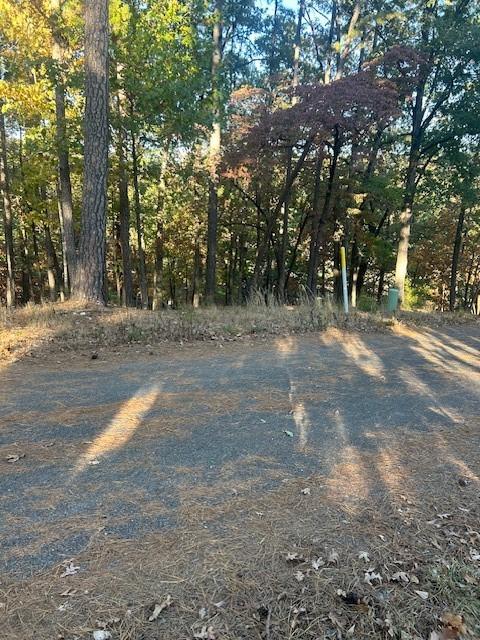 10 Angus St, Eureka Springs, AR 72632 - photo 8