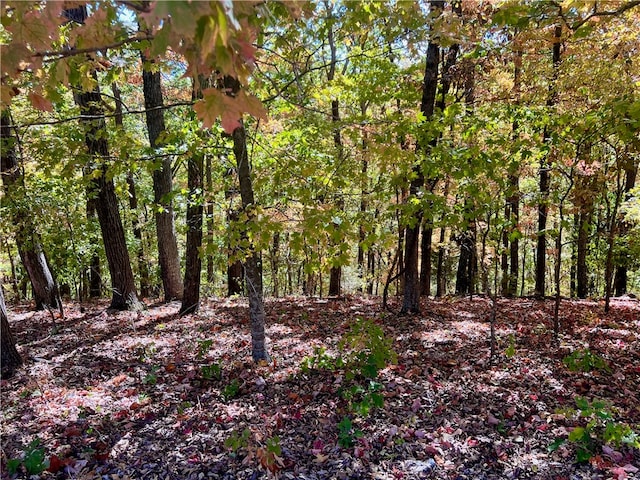 Pyramid Ln, Holiday Island AR, 72631 land for sale