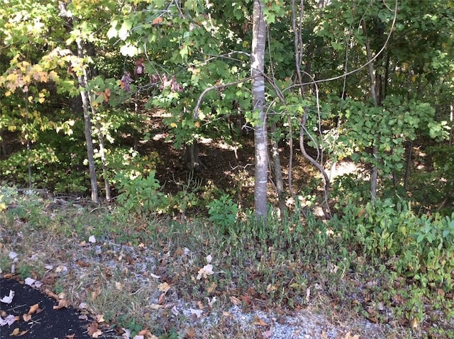 Listing photo 2 for LOT6 Tudor Ln, Bella Vista AR 72715