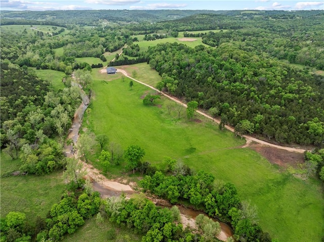 13136 Cedar Grove Rd, Lead Hill, AR 72644 - photo 4