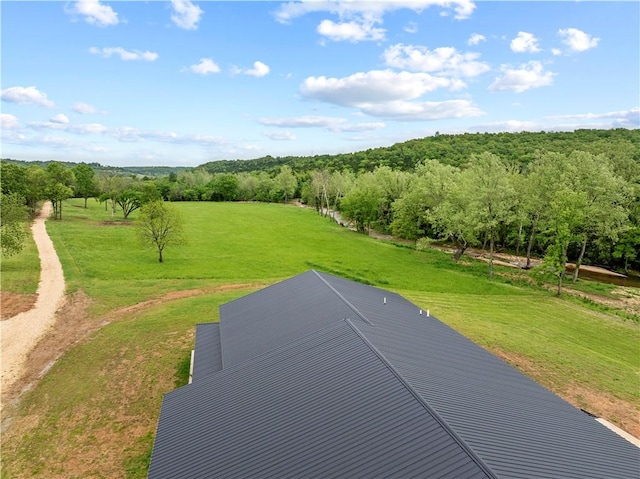 13136 Cedar Grove Rd, Lead Hill, AR 72644 - photo 39