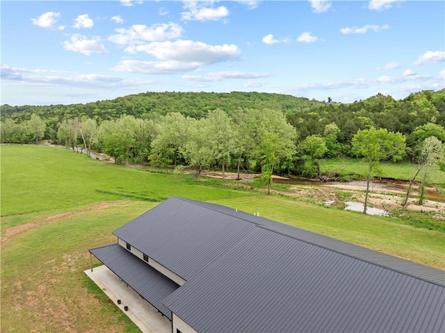 13136 Cedar Grove Rd, Lead Hill, AR 72644 - photo 40