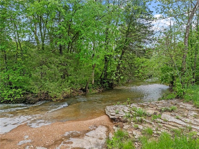 13136 Cedar Grove Rd, Lead Hill, AR 72644 - view of water feature
