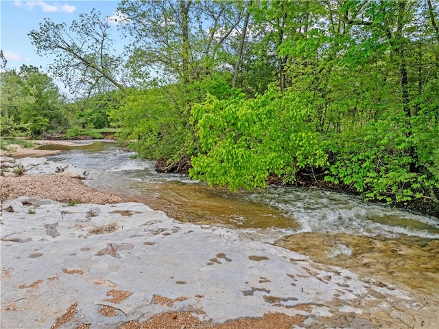 13136 Cedar Grove Rd, Lead Hill, AR 72644 - property view of water