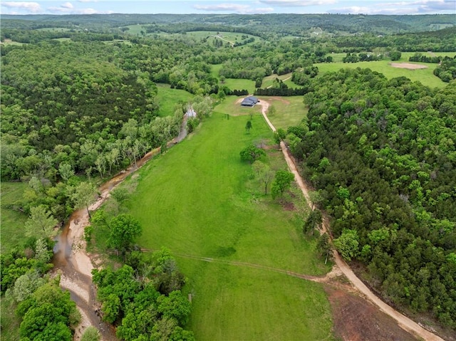 13136 Cedar Grove Rd, Lead Hill, AR 72644 - aerial view featuring a wooded view