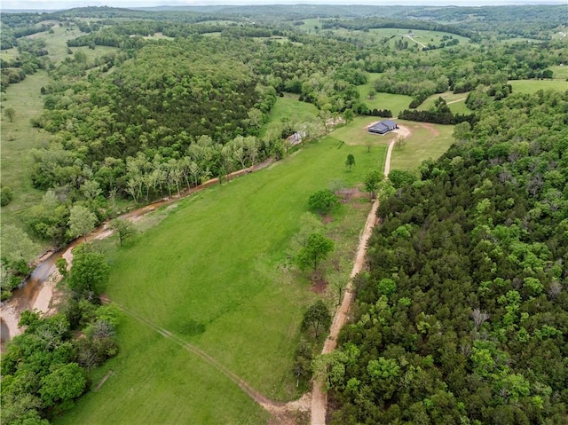13136 Cedar Grove Rd, Lead Hill, AR 72644 - photo 52