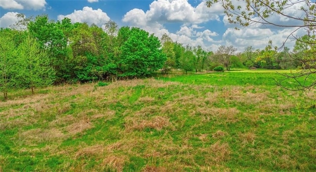 view of landscape