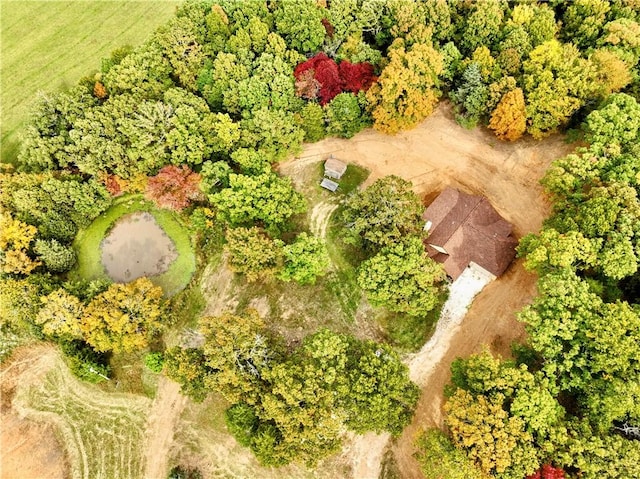 drone / aerial view