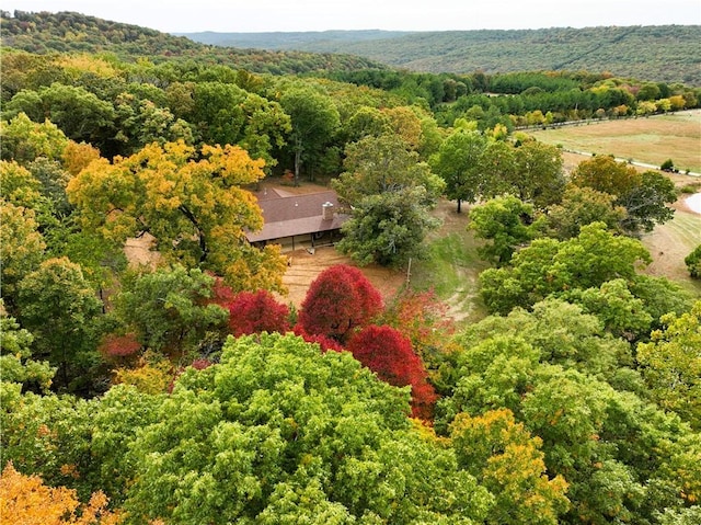 bird's eye view with a forest view