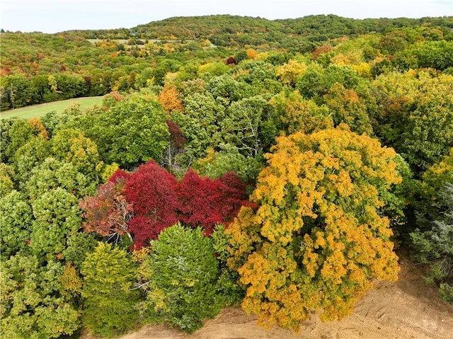 birds eye view of property featuring a forest view