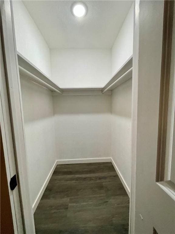 walk in closet featuring dark wood-style flooring