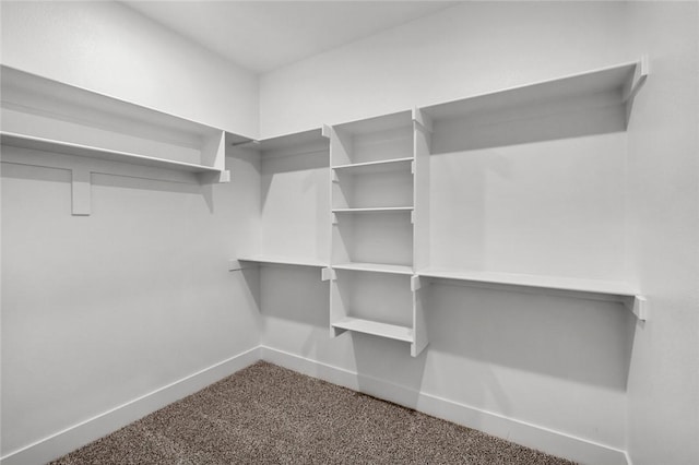 825 Baker St, Pea Ridge, AR 72751 - spacious closet featuring carpet