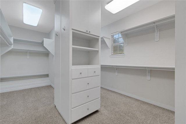 spacious closet with light carpet