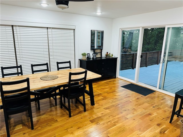 dining room with light hardwood / wood-style flooring