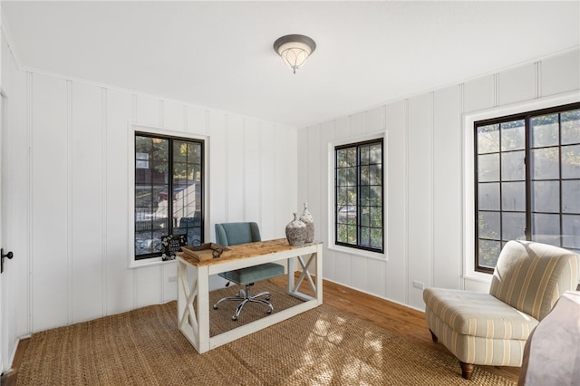 office space featuring wood-type flooring and a wealth of natural light