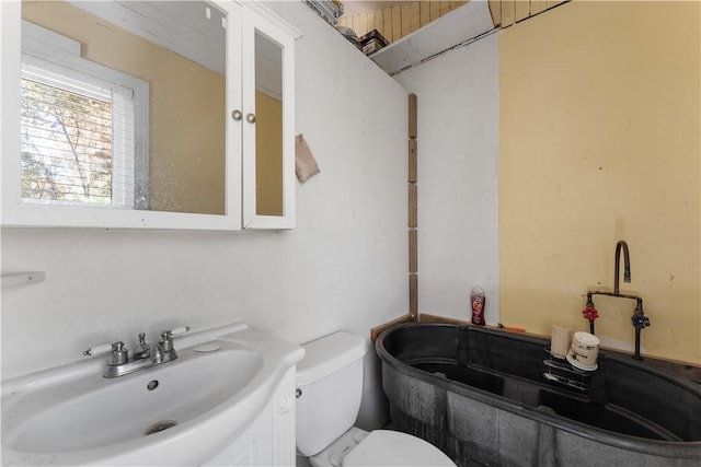 bathroom with a bath, a sink, and toilet