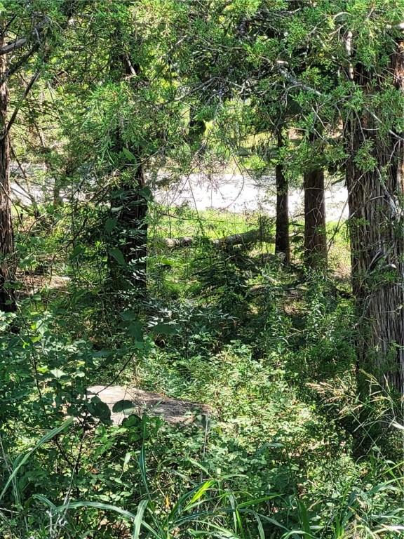 27 White Oak Dr, Holiday Island, AR 72631