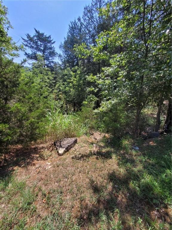 27 White Oak Dr, Holiday Island, AR 72631