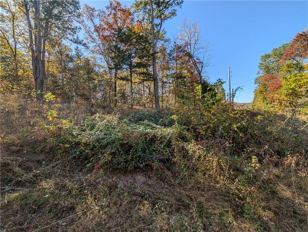 TBD Chaucer Dr, Bella Vista, AR 72714