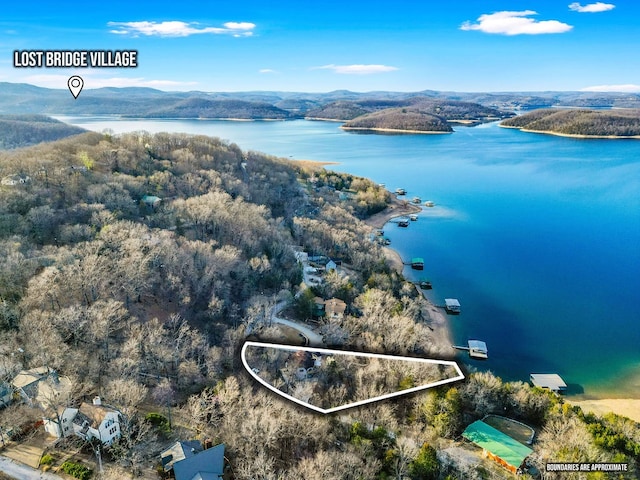 bird's eye view featuring a water and mountain view