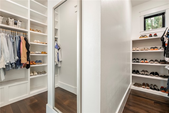 spacious closet with dark hardwood / wood-style floors