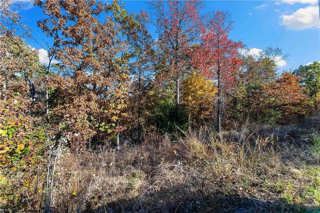 000 Carrick Dr, Bella Vista, AR 72715 - photo 4