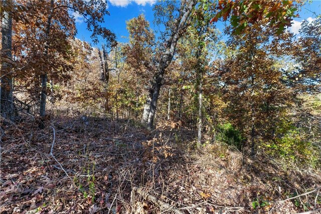 000 Carrick Dr, Bella Vista, AR 72715 - photo 6