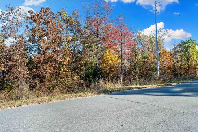 000 Carrick Dr, Bella Vista, AR 72715 - photo 7