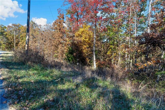 000 Carrick Dr, Bella Vista, AR 72715 - photo 9