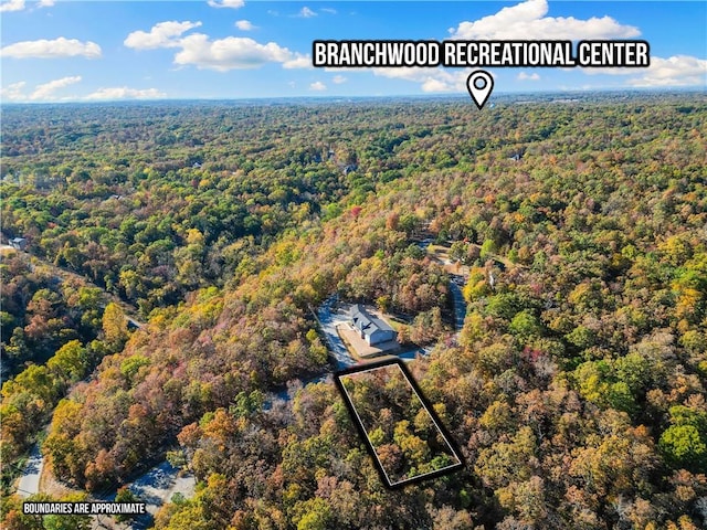 000 Carrick Dr, Bella Vista, AR 72715 - photo 15