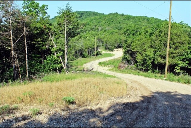 0 Grassy Gap Rd, Harrison, AR 72601 - photo 30