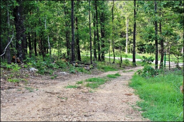 0 Grassy Gap Rd, Harrison, AR 72601 - photo 2