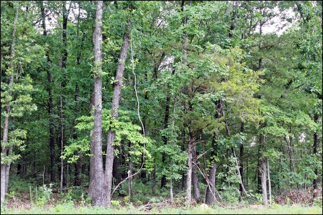 view of local wilderness