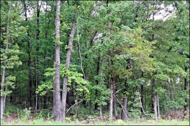 0 Grassy Gap Rd, Harrison, AR 72601 - photo 28