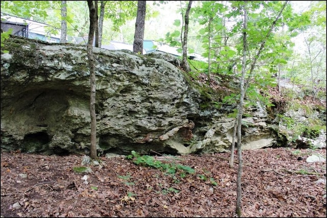 0 Grassy Gap Rd, Harrison, AR 72601 - photo 29