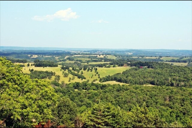 0 Grassy Gap Rd, Harrison, AR 72601 - photo 34