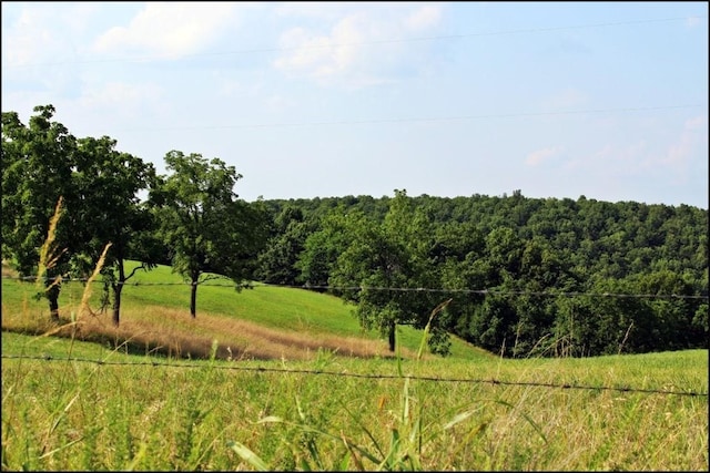 0 Grassy Gap Rd, Harrison, AR 72601 - photo 35