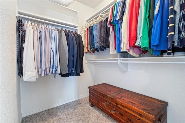 spacious closet featuring carpet