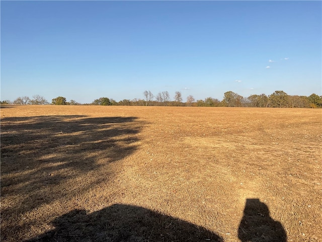 view of local wilderness with a rural view