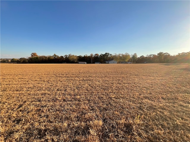 view of yard featuring a rural view