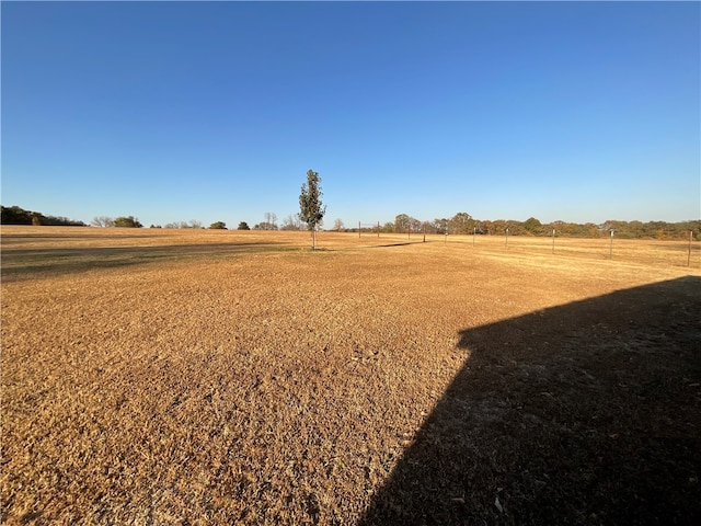 view of yard featuring a rural view