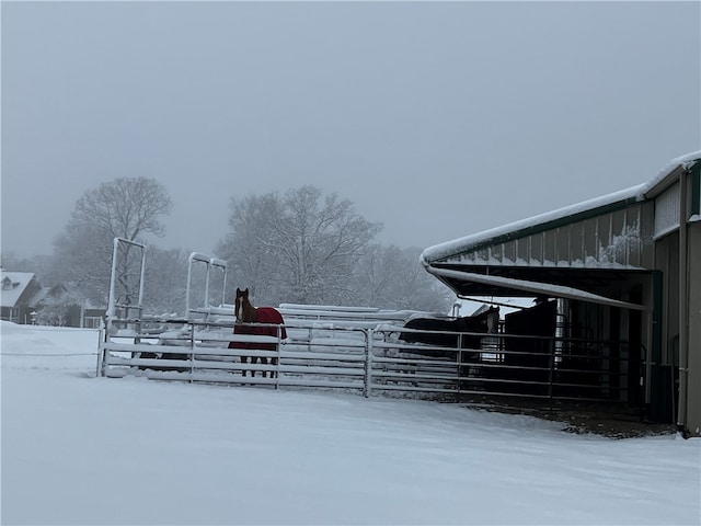 exterior space with an outbuilding