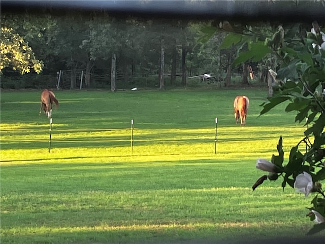 view of property's community featuring a lawn