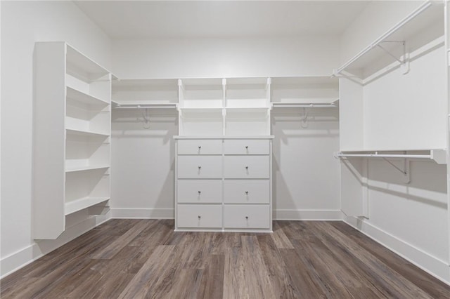 walk in closet with dark hardwood / wood-style flooring